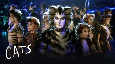 cats musical youtube full|cats musical full movie.